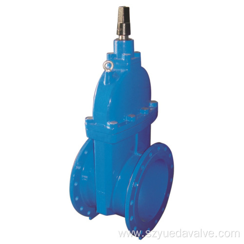 Resilient Seated Gate Valve Large Size with Cap